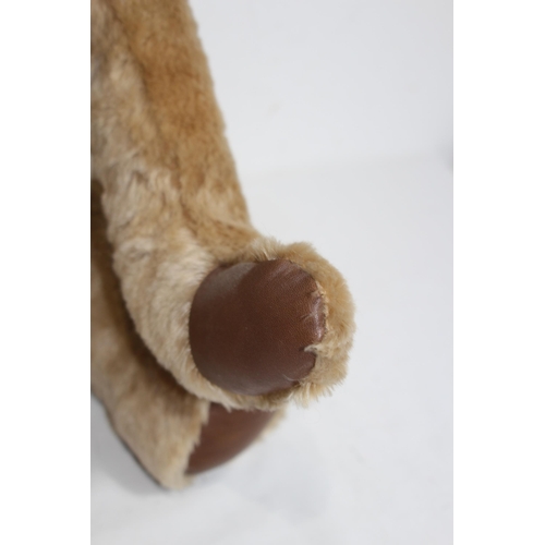653 - GROWLER TEDDY BEAR
57CM