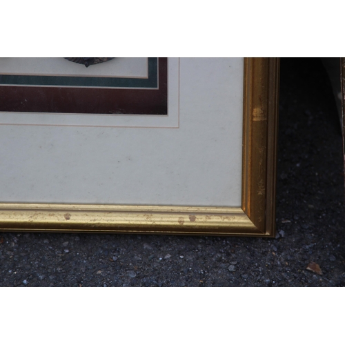 65 - QUANTITY OF PICTURES 
44 X 57CM