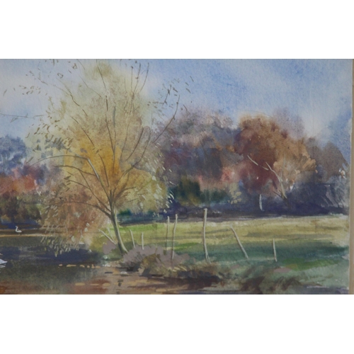97 - JOY BRAND 1993 WATERCOLOUR OF BASINGSTOKE CANAL 
30 X 23CM