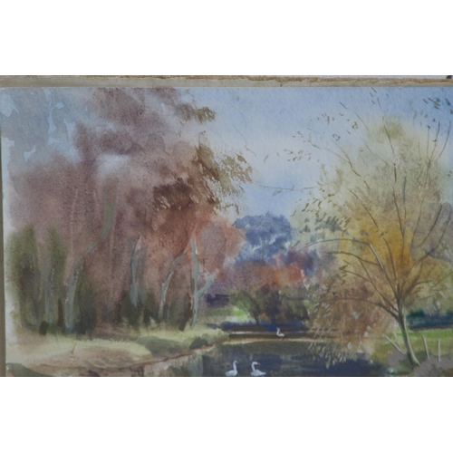 97 - JOY BRAND 1993 WATERCOLOUR OF BASINGSTOKE CANAL 
30 X 23CM