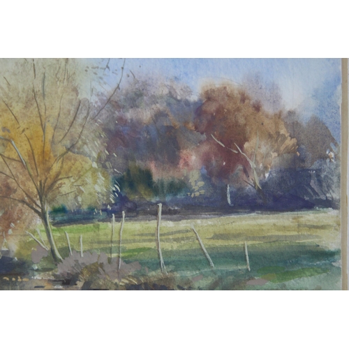 97 - JOY BRAND 1993 WATERCOLOUR OF BASINGSTOKE CANAL 
30 X 23CM