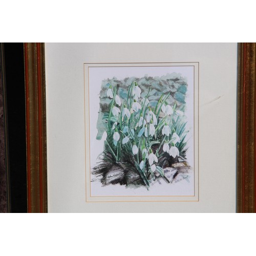 109 - SELECTION OF VARIED PICTURES