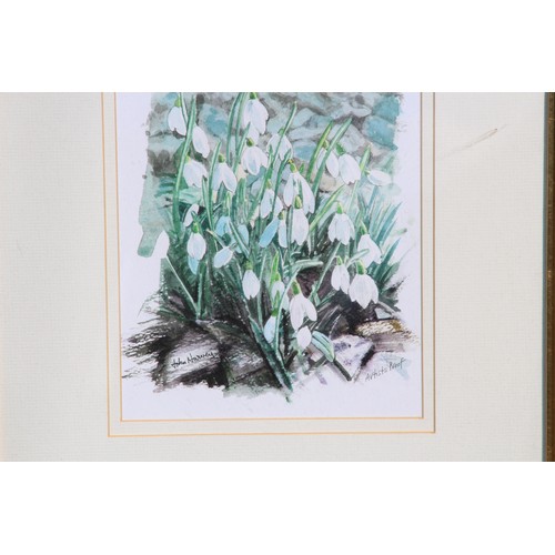 109 - SELECTION OF VARIED PICTURES