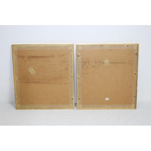 117 - PAIR OF BELL SCULPTURE PRINTED PLATES OF FIXED STARS FROM THE NORTHERN AND SOUTHERN HEMISPHERE 
34 X... 