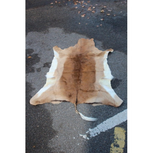 154 - ANIMAL HIDE RUG
147 X 80CM