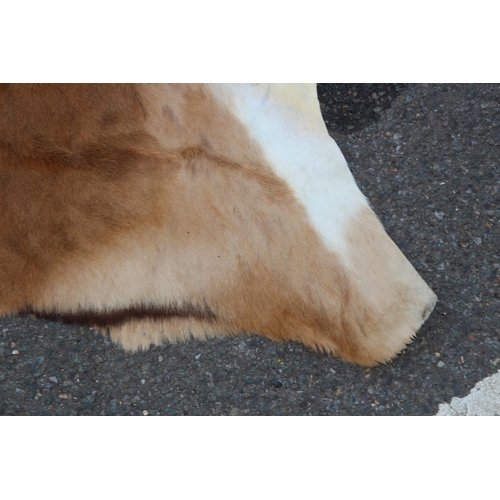 154 - ANIMAL HIDE RUG
147 X 80CM