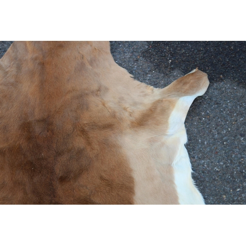 154 - ANIMAL HIDE RUG
147 X 80CM
