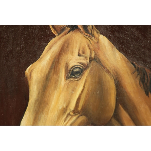 96 - 1975 JOSEPHINE WINSOR OIL ON CANVAS ARKLE 
70 X 60CM