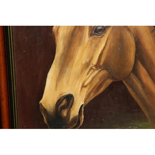 96 - 1975 JOSEPHINE WINSOR OIL ON CANVAS ARKLE 
70 X 60CM