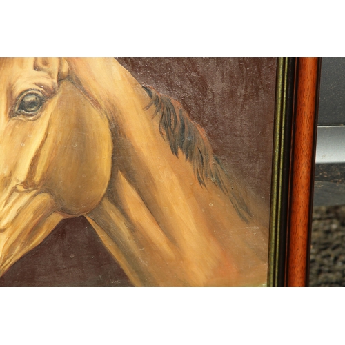 96 - 1975 JOSEPHINE WINSOR OIL ON CANVAS ARKLE 
70 X 60CM