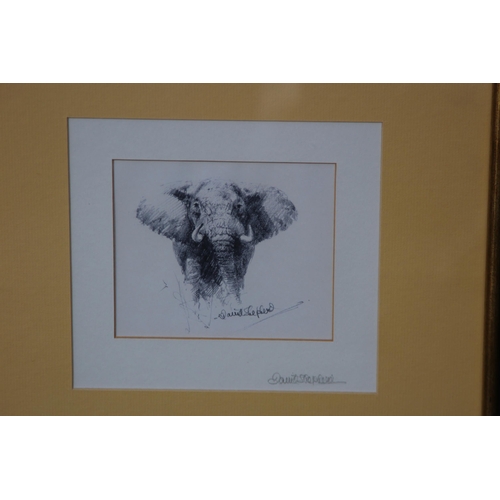 108 - SIGNED DAVID SHEPARD PRINT 
35 X 35CM