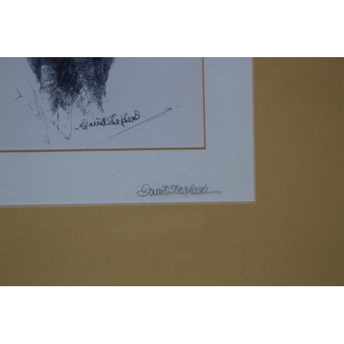 108 - SIGNED DAVID SHEPARD PRINT 
35 X 35CM