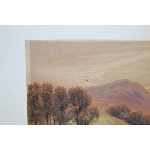 102 - W H MULLER HEWITT 1848 - 1921 UNFRAMED WATERCOLOUR
39 X 23CM