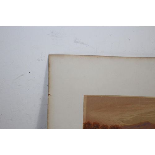 102 - W H MULLER HEWITT 1848 - 1921 UNFRAMED WATERCOLOUR
39 X 23CM