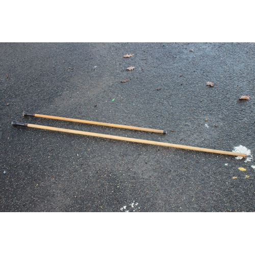 315 - TWO BAMBOO BLOW PIPES