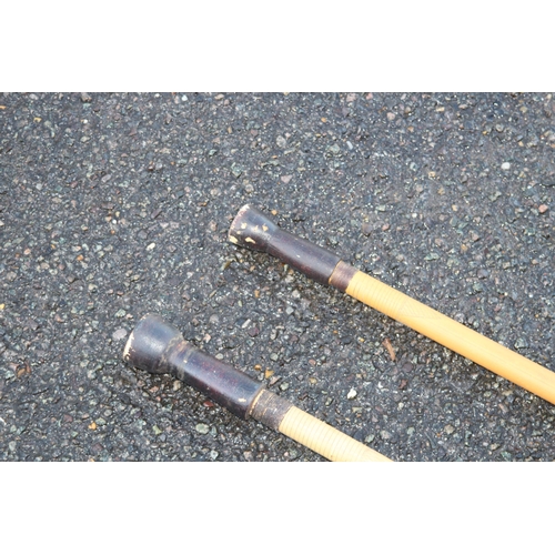 315 - TWO BAMBOO BLOW PIPES