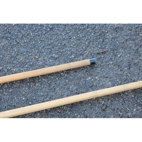 315 - TWO BAMBOO BLOW PIPES