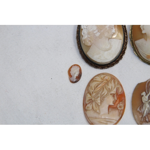 768 - COLLECTION OF SIX 19TH & EARLY 20TH CENTURY CAMEOS, THREE SET AS BROOCHES