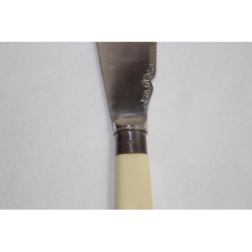 928 - CASED SILVER FERRULED FISH SERVING SET, SHEFFIELD 1919