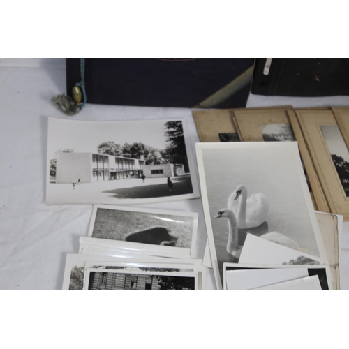 447 - QUANTITY OF VINTAGE INTERESTING PHOTOGRAPHS