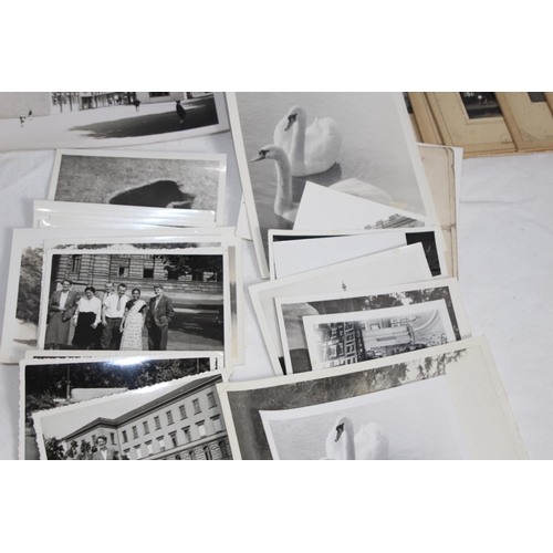 447 - QUANTITY OF VINTAGE INTERESTING PHOTOGRAPHS