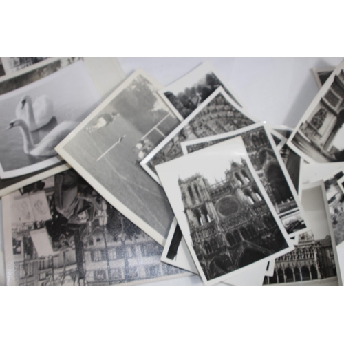 447 - QUANTITY OF VINTAGE INTERESTING PHOTOGRAPHS