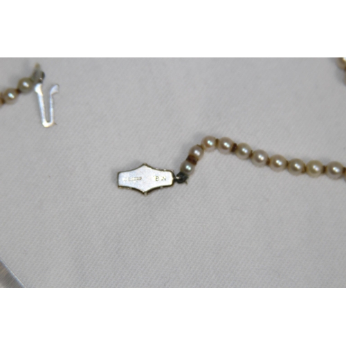 828 - SILVER CLASP PEARL NECKLACE