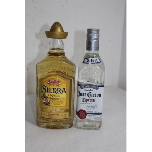 493 - TWO BOTTLES OF TEQUILA