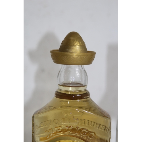 493 - TWO BOTTLES OF TEQUILA