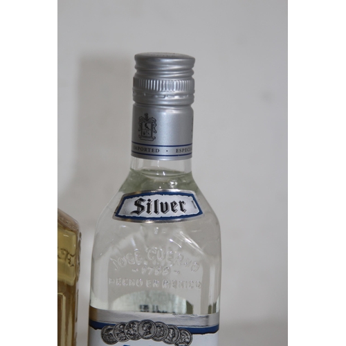 493 - TWO BOTTLES OF TEQUILA