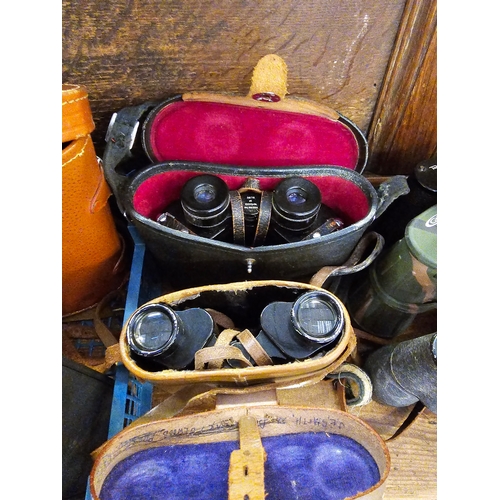 101 - Tray Full Of Binoculars To Include Gelert.