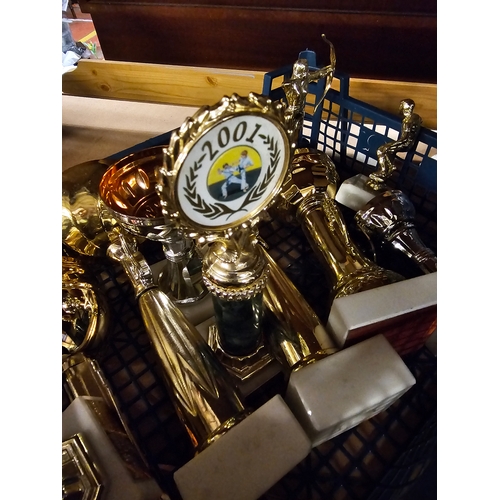 385 - Tray Of Various Sporting Trophies.