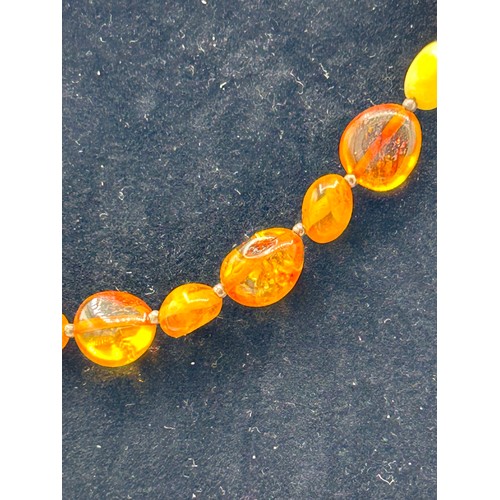 272 - Amber Necklace With 925 Clasp.