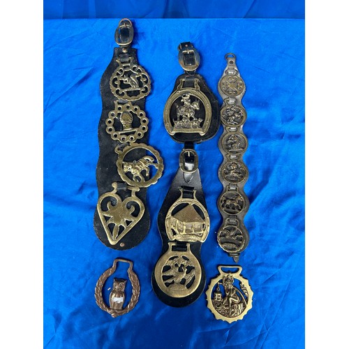 27 - Various Horse Brasses