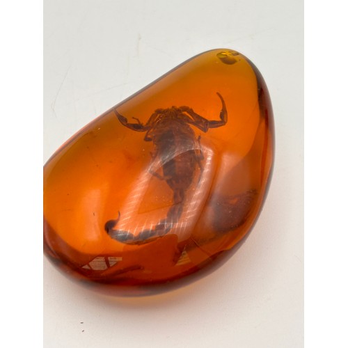 278 - Amber? Pendant With Inclusion. 2