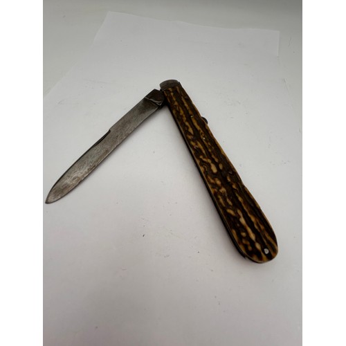 464 - Large Bone Handled Pocket Knife, Sheffield Made.