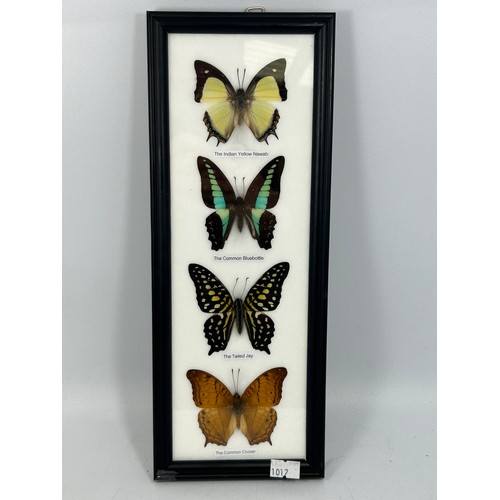 128 - Framed Display Of Taxidermy Butterflies 13” x 5”.