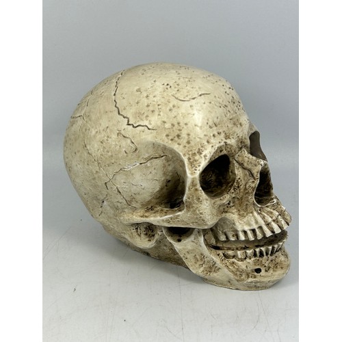 142 - Resin Decorative Skull.