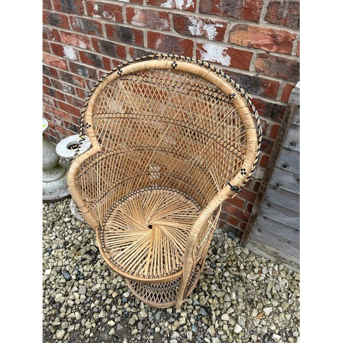 30 - Stunning Peacock Chair Standing 41