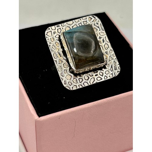 224 - Large Silver Ring With Abalone Centre