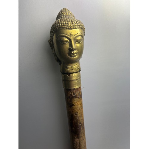 296 - Large Walking Stick With Brass Buddha Top. 53