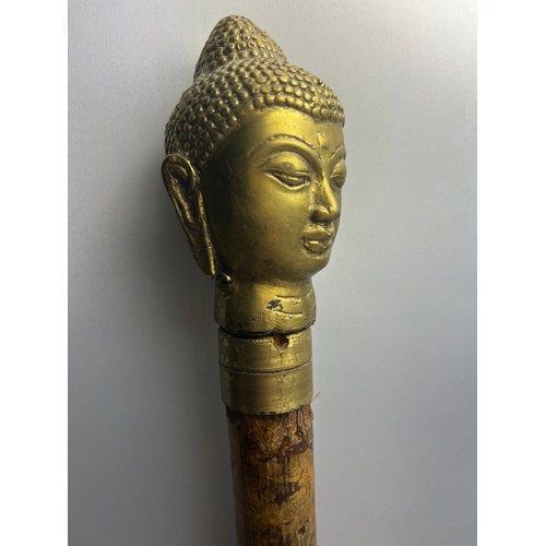 296 - Large Walking Stick With Brass Buddha Top. 53