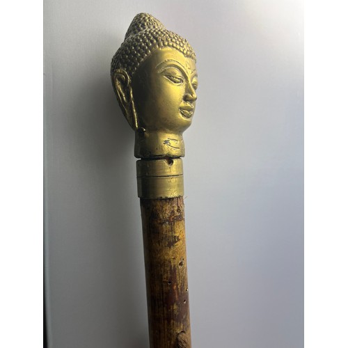 296 - Large Walking Stick With Brass Buddha Top. 53