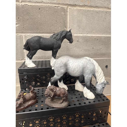 Lot 29        