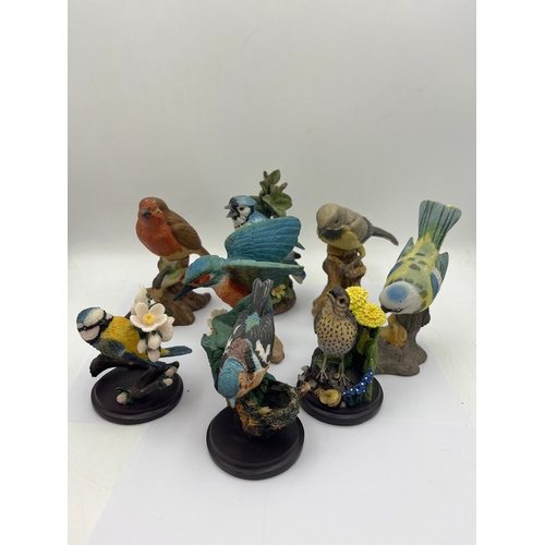 416 - Collection Of Various Birds