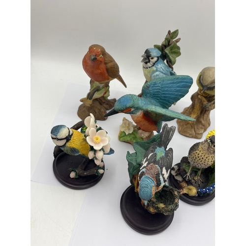 416 - Collection Of Various Birds