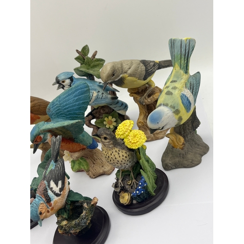 416 - Collection Of Various Birds