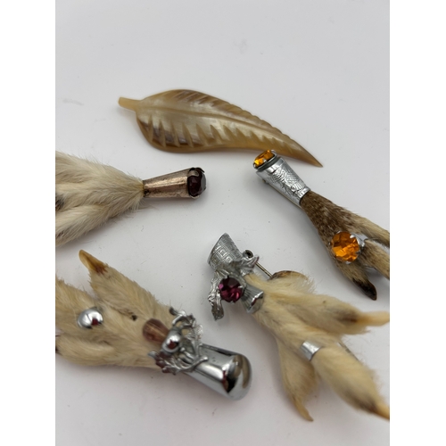 94 - A Collection of 5 Vintage Scottish Grouse Foot Brooches and Accessory