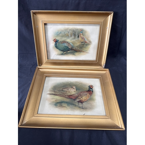 51 - A Pair of Charles Whymper Framed Chromolithograph Prints of Pheasants