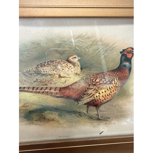 51 - A Pair of Charles Whymper Framed Chromolithograph Prints of Pheasants